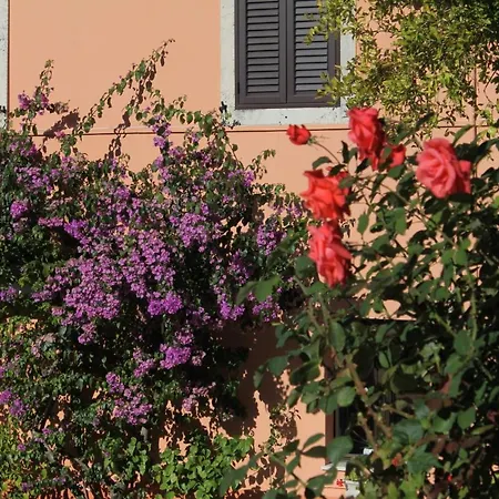 With A Parking Space Trsteno, Dubrovnik - 8595 Affittacamere Trsteno